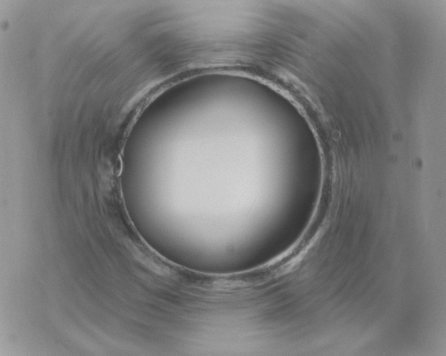 X0000074321449200609152020