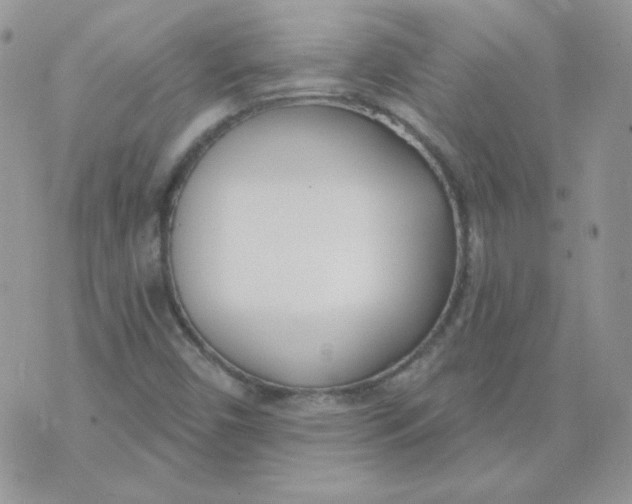 X0000074321450200609152020