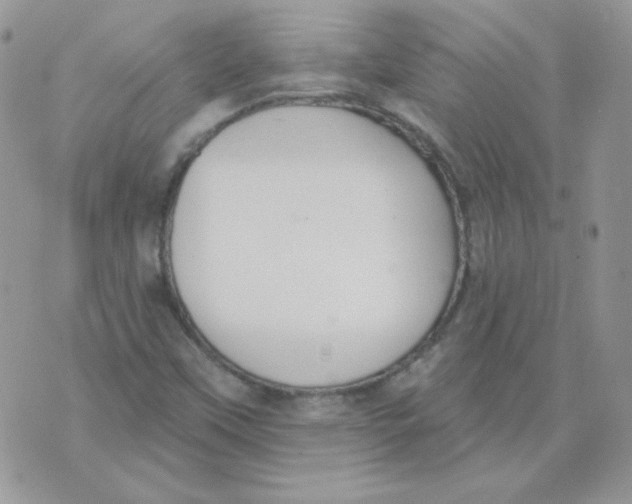 X0000074321451200609152020