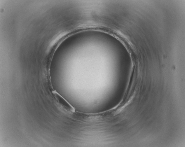 X0000074321453200609152020