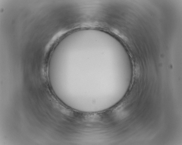 X0000074321454200609152020