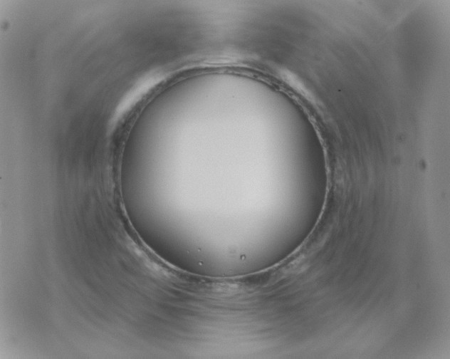 X0000074321456200609152020