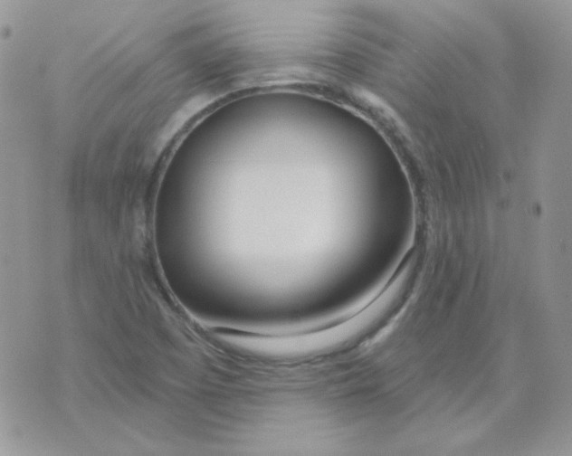 X0000074321457200609152020