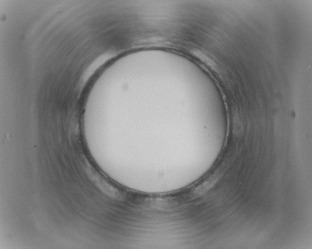 X0000074321458200609152020