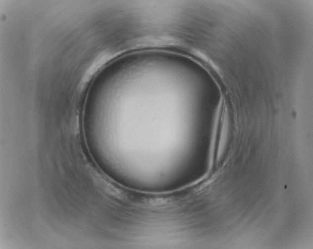 X0000074321459200609152020