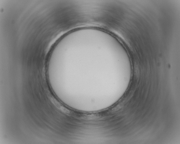 X0000074321460200609152020