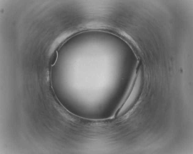 X0000074321461200609152020