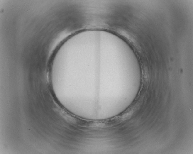 X0000074321462200609152020