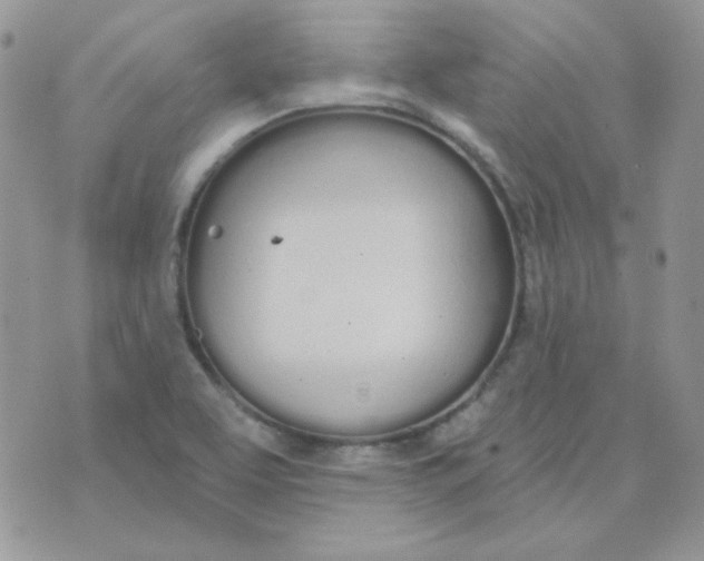 X0000074321463200609152020