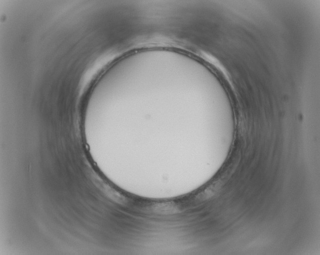 X0000074321464200609152020