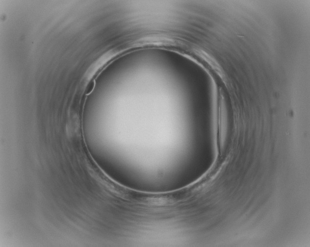 X0000074321465200609152020