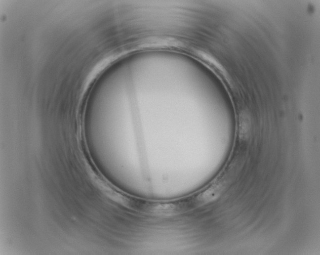 X0000074321467200609152020