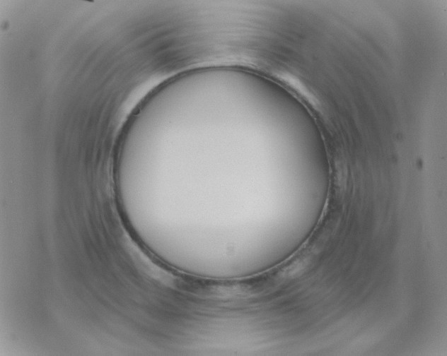 X0000074321468200609152020