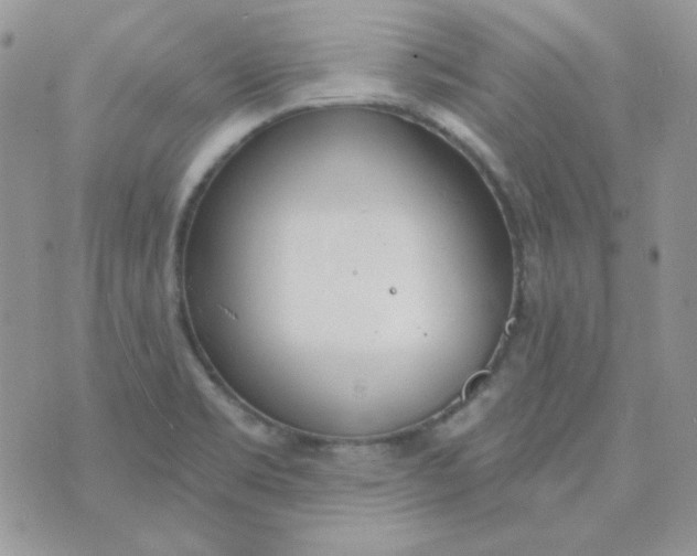 X0000074321469200609152020