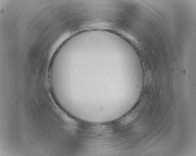 X0000074321470200609152019