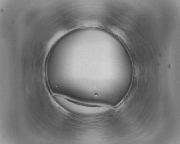 X0000074321471200609152019