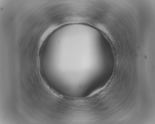 X0000074321472200609152019