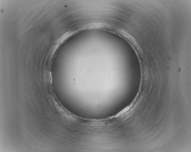 X0000074321473200609152019