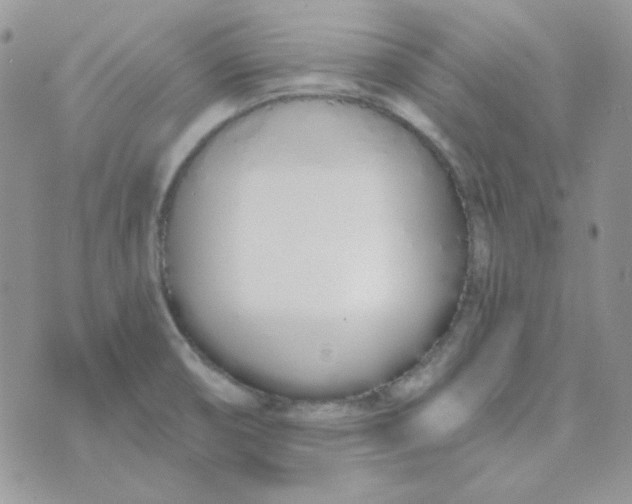 X0000074321474200609152019