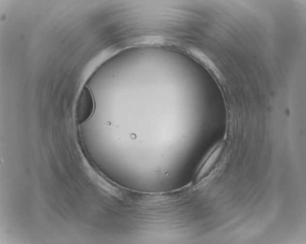 X0000074321475200609152019