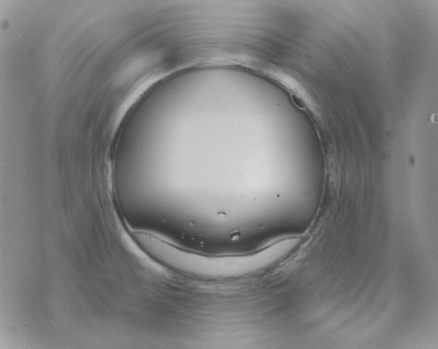 X0000074321476200609152019