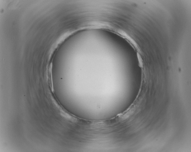 X0000074321477200609152019