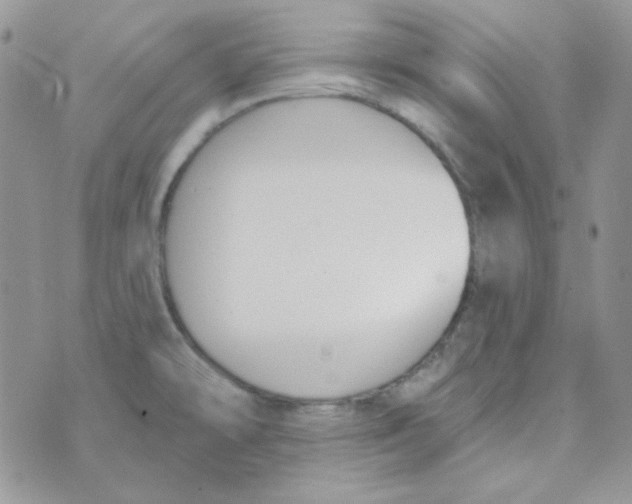 X0000074321478200609152019