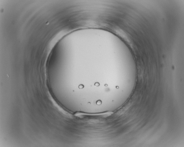 X0000074321479200609152019