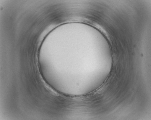 X0000074321480200609152019