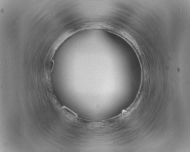 X0000074321481200609152019