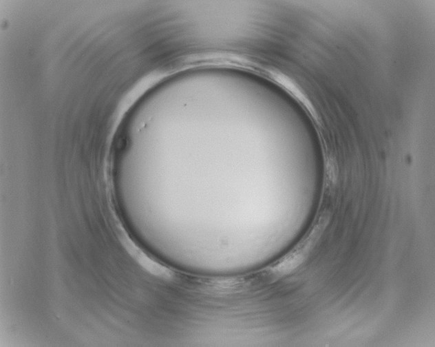 X0000074321482200609152019