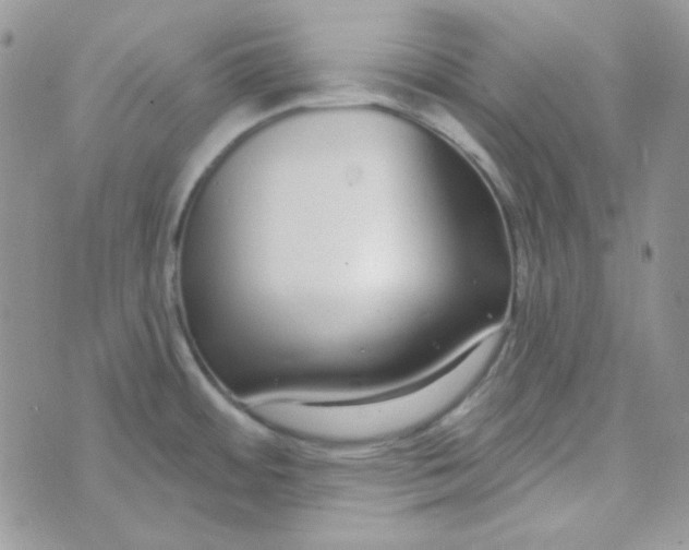 X0000074321484200609152019