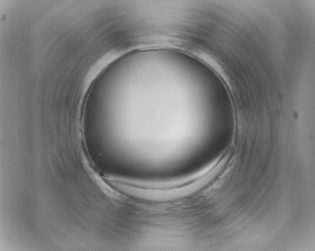 X0000074321485200609152019