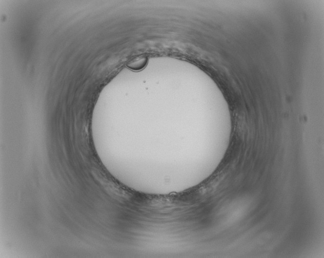 X0000074321489200609152018