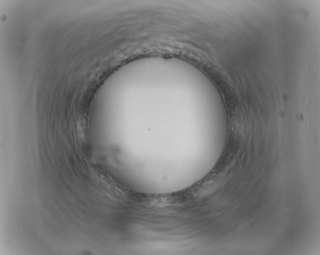 X0000074321490200609152018