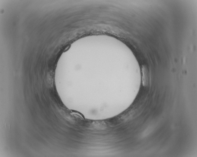 X0000074321491200609152018