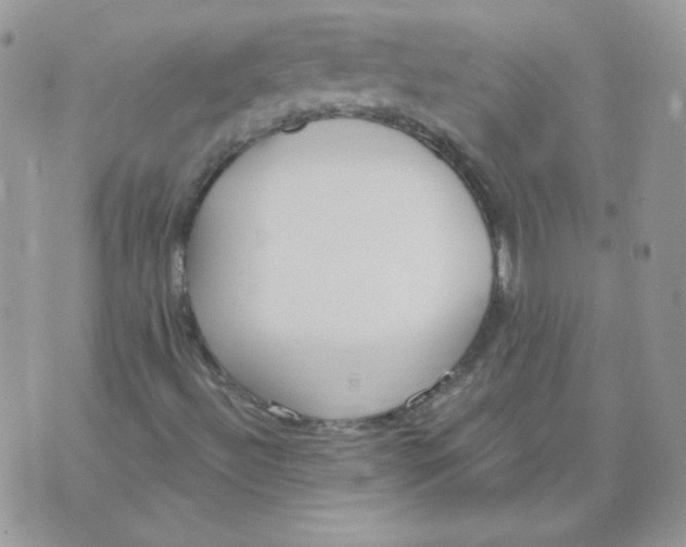 X0000074321492200609152018