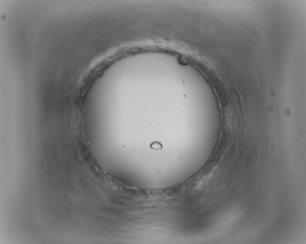 X0000074321494200609152019