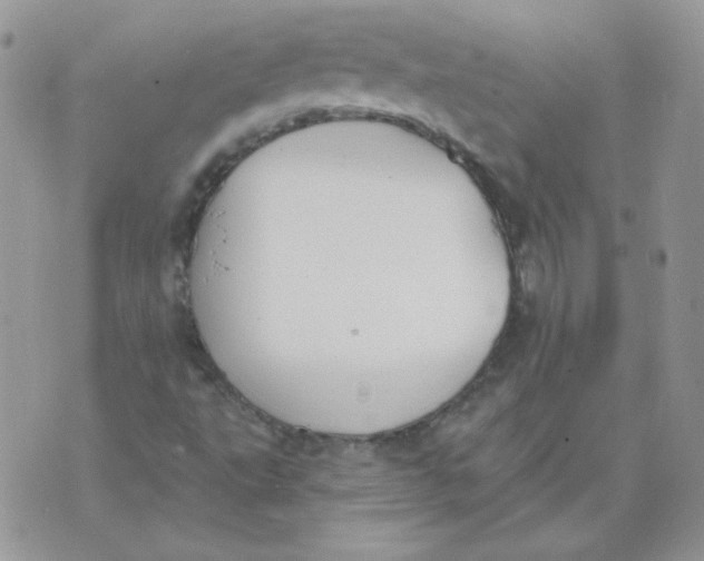 X0000074321495200609152019