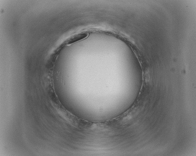 X0000074321496200609152019