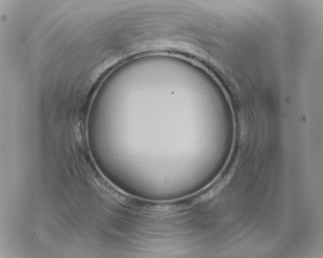 X0000074321497200609152019