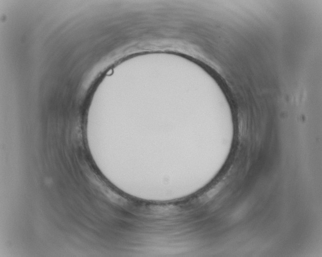 X0000074321498200609152019