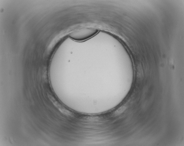 X0000074321499200609152019