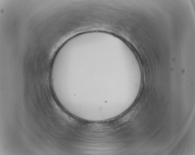 X0000074321500200609152019