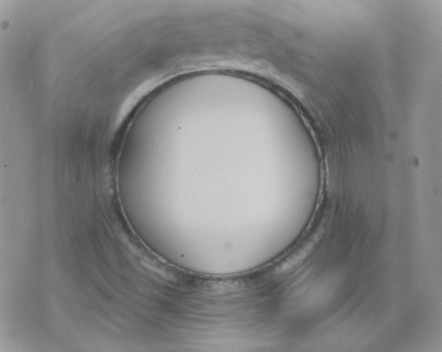 X0000074321501200609152019