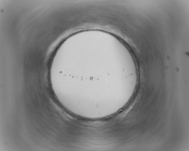 X0000074321502200609152019