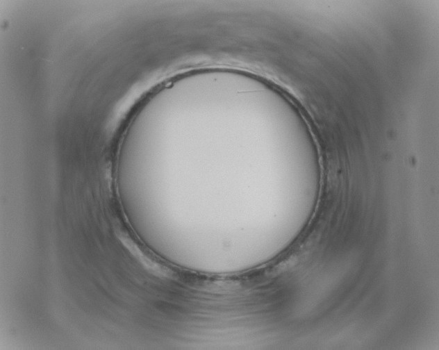 X0000074321503200609152019