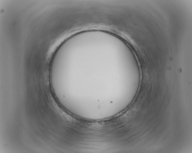 X0000074321504200609152019