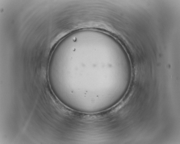 X0000074321505200609152019