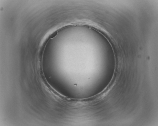 X0000074321506200609152019